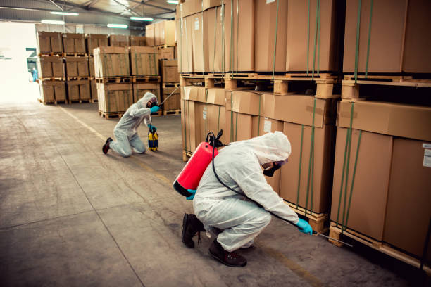 Trusted Morganfield, KY Pest Control Experts