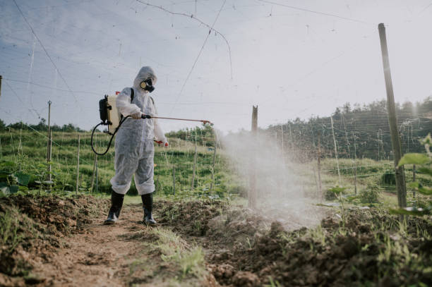 Best Pest Control for Homes  in Morganfield, KY