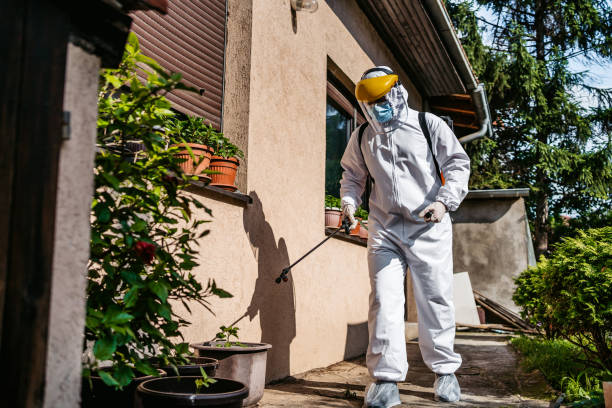 Best Pest Inspection Near Me  in Morganfield, KY