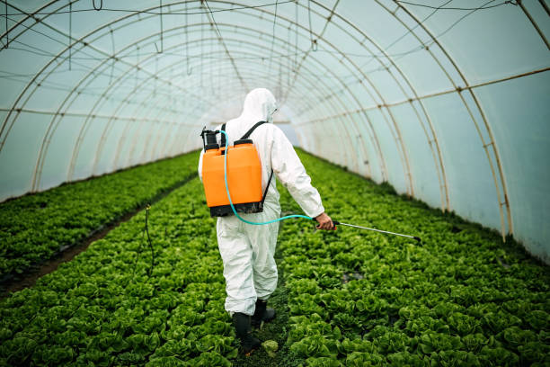Best Local Pest Control Services  in Morganfield, KY