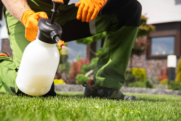 Best Local Pest Control Services  in Morganfield, KY