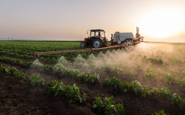 Best Best Pest Control Companies  in Morganfield, KY