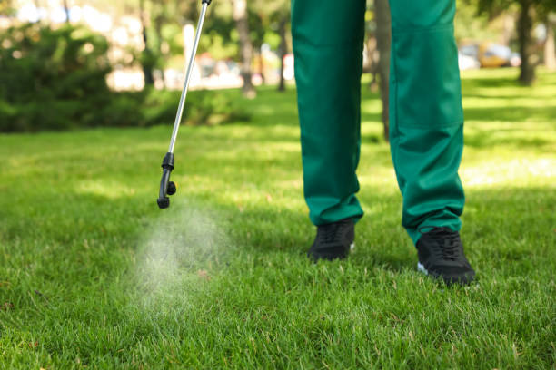 Best Emergency Pest Control  in Morganfield, KY