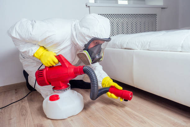 Best Affordable Exterminators  in Morganfield, KY