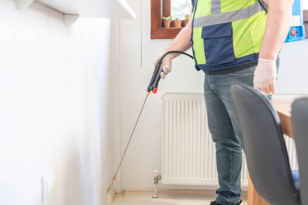 Best Ant Control Services  in Morganfield, KY