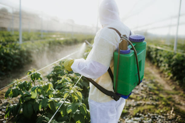  Morganfield, KY Pest Control Pros